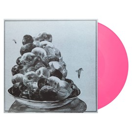 Painted Shut Pink LP Record