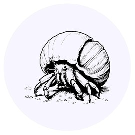 24 x 40mm Round 'Hermit Crab Crawling On Beach' Stickers (SK00064961)