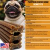 Live Pawsitively Pumpkin Dental Chews For Dogs Made in USA,
