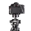 SUNWAYFOTO GC-01 Geared Head Professional Panoramic Tripod Head Geared Head