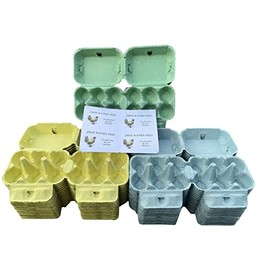 Anglia Farm Supplies - Effect 6 - Blue Yellow Green Colour Egg Carton Boxes 1/2 Dozen with Sheet 8 Labels (30 Mixed Colour)