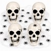 4 Pcs 5in Plastic Skulls Halloween Skeleton Cobweb 20 Spiders