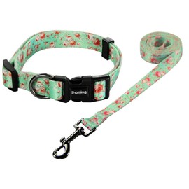 Ihoming Puppy Collar and Leash Set for Daily Outdoor Walking Running Training, Floral GreenLake Design for Extra Small Boys Girls Dogs Cats Pets, XS-Up to 10LBS