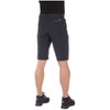 Mammut Men's Runbold Shorts, Black, EU 48