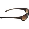 Swiss Eye Cobra Sports Glass - Brown