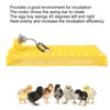 Egg Incubator Egg Tray Small 24 Eggs Four Leaf Flower