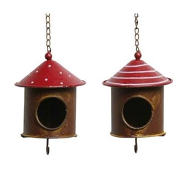 Posiwio Metal Bird Feeder and Fat Ball Holder - Rust, D 10 x H 11.5 + Chain