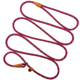 Hoanan Slip Lead Pet Training Leash, Reflective No Pull Choke Leash, 1/4 in x 7 ft Slip Leash for Small Medium Breeds, Wine red