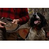 DogBone Grouse Scent for Training Your Bird Dog