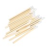 Lip Brush for Lipstick, 100pcs Disposable Bamboo Handle Lip Brush