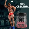 Creatina Monohidratada 100% pura sin sabor 500 grs - 50