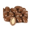 Candy Retailer Milk Chocolate Covered Almonds 1 Lb