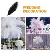 Crenze 10pcs Black Ostrich Feathers 12-14inch(30-35cm) for Home Wedding Decoration
