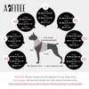 AOFITEE Dog Thunder Jacket with Hood, Breathable Medium Dog Anxiety