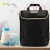 Itzy Ritzy Insulated Bottle Bag – Keeps Bottles Warm or
