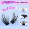Fluffy Lash Clusters Kit Eyelash Clusters Kit Wispy D Curl