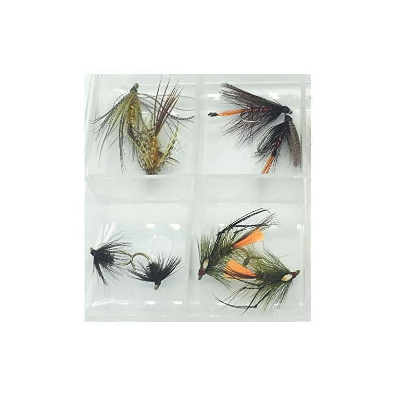 BestCity Fly Fishing Irish Wet Flies 16 Flies set in