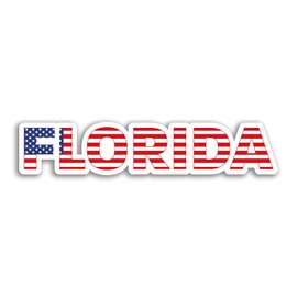 2 x 10cm Wide Florida Vinyl Stickers - Flag America Travel USA State Sticker #75287