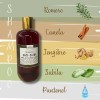 Shampoo Heralba Romero- Sábila-jengibre Anti-caída 500 Ml