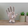 Oak Tree Temerity Jones Porcelain Crackle Phrenology Palmistry Hand Map