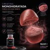 Gomitas de Creatina Monohidratada sin Azúcar para 30 Días NUVI+