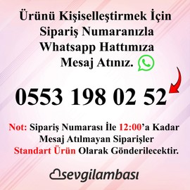 Sevgilambası Pilot Hediyesi Uçak Gece Lambası, Boeing 737 Dreamliner Yolcu Uçağı İsimli Led Lamba, Pilotlara Hediye
