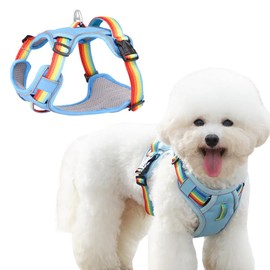 DICOCO Dog Harness, Night Backlight, Breathable, Cute, Medium Dogs, Pull Prevention, Large Dogs, Stroll Resistant, Adjustable, Stylish, Popular Torso, Rainbow XS