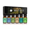 P&J Trading Nature Set of 6 Premium Grade Fragrance Oils