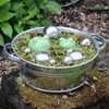 Storm's Gartenzaubereien Zinc Tub, 5 Litres, Round, Waterproof Plant Bowl,