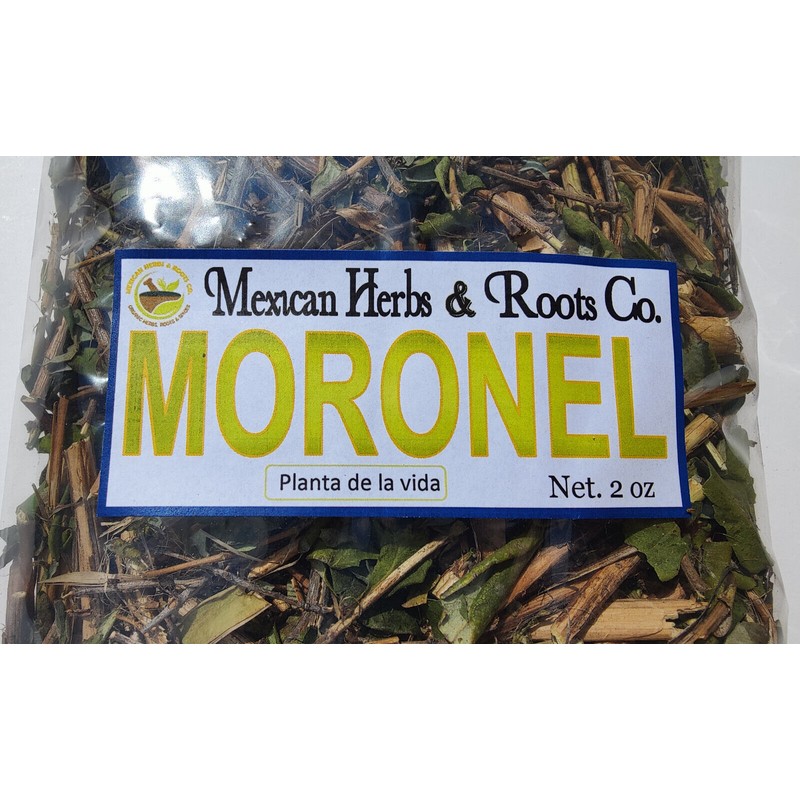 Mexican herbs Moronel Planta de La Vida Te de moronel