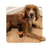 Animology Dirty Dawg Pup Shampoo – No-Rinse Cleaning Shampoo for