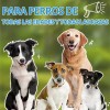 Suplemento Vitamina D Líquida Para Perros Refuerza Defensas