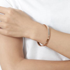 Tidefire Stainless Steel Crystal Zirconia Bracelets 18K Gold Plated Women's Bracelet Titanium Steel Bangle, Stainless Steel