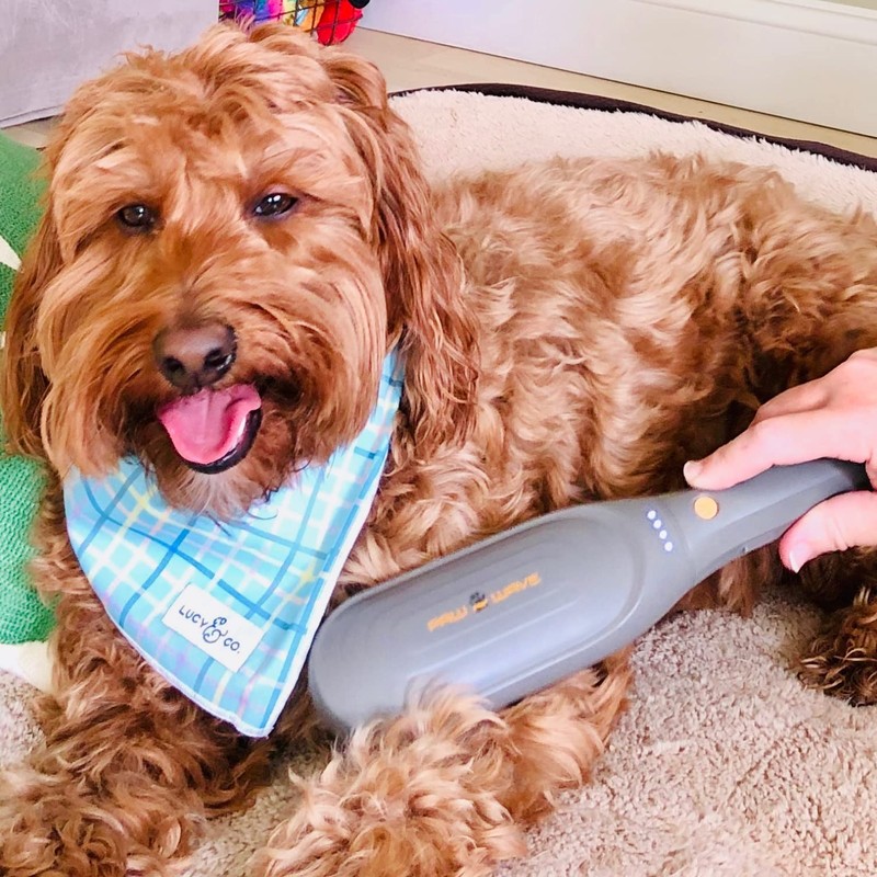 PAW WAVE Buzz Therapeutic Brush Vibration Pet Massager for Dogs