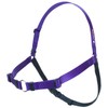 Softouch Sense-ation No-Pull Dog Harness (Purple, Extra Large)