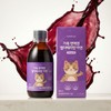 Kids Zinc Children's Zinc Elderberry Syrup Whole Family Immunity 280ml