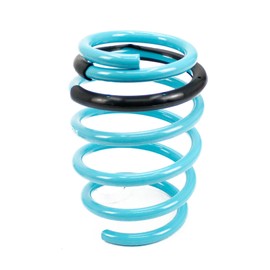 Godspeed LS-TS-NN-0014 Traction-S Performance Lowering Springs, Improve Overall Handling And Steering Response