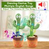 Emoin Dancing Cactus Repeats, Adjustable Volume Talking Cactus Toy, Recording