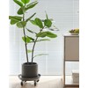 Choclaif Plant Caddy with Wheels,2 Pack Silver Heavy Duty Plant