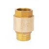ChillWaves Brass In-Line Spring Check Valve DN20 3/4" Male x