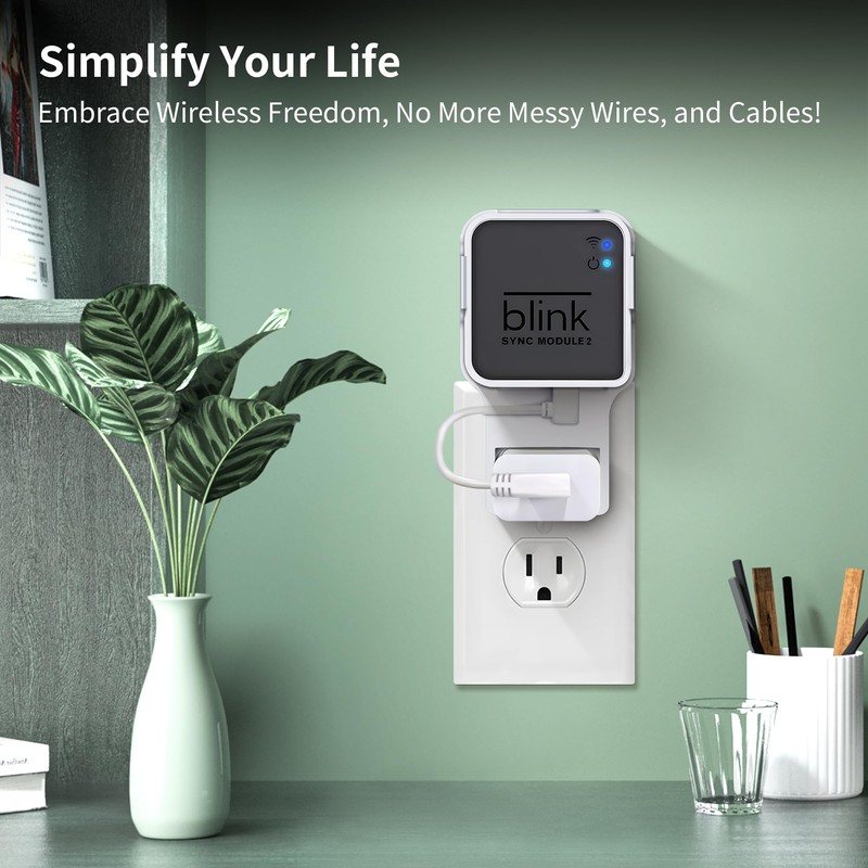 256GB USB Flash Drive & Wall Mount for Blink Sync