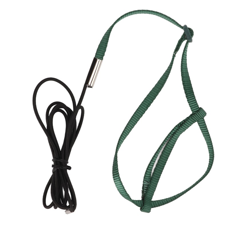 Bird Harness Leash Adjustable Elastic Flying Training Parrot Traction Rope