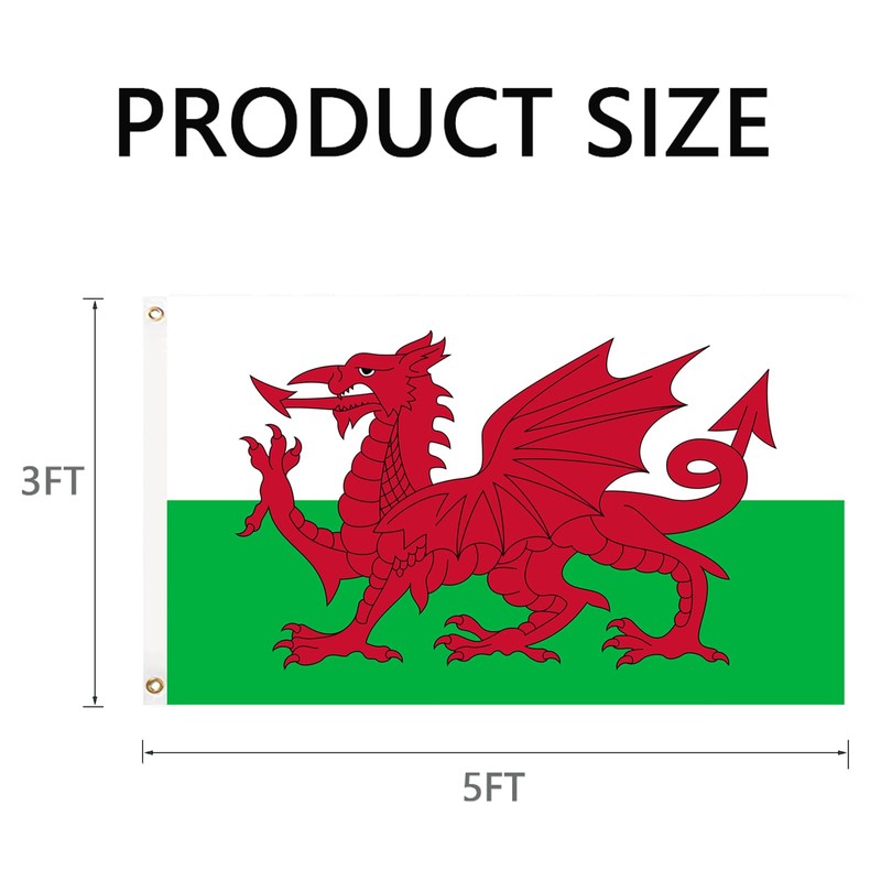 GSYLPFT Wales Flags for Outside 3x5 Welsh Flag Outdoor Vivid