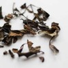 Teapro Supreme Shou Mei White Tea 30g | Longevity Eyebrow