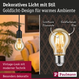 Paulmann 28522 LED Vintage AGL 6W E27 230V Gold Dimmable 1700K, 6 W