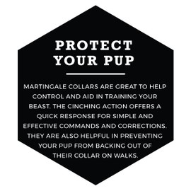 Wolfgang Premium Martingale Dog Collar for Small Medium Large Dogs, Made in USA, GreatEscape Print, Medium (1 Inch x 14-18 Inch)