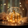 LED Fairy Lights Battery Operated 2PCS 16ft 50 LED Twinkle