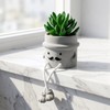 Fake Plant with Gray Flower Pot Artificial Succulents Plant for