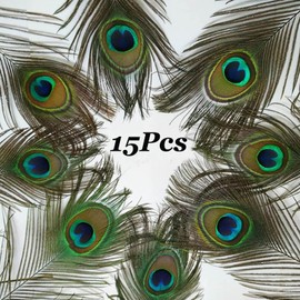 15Pcs Peacock Feathers, Peacock Feather, Peacock Feathers Long, Natural Large Peacock Eye Feathers, 10-12 Inches Peacock Tail Feather for Wedding, Vase, Christmas Party Decoration, DIY Art & Craft