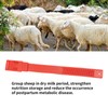 10Pcs Goat Collar Sheep Identification Bands Livestock Marking Ring Farming